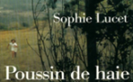 Couverture du livre Poussin de haie de Sophie Lucet