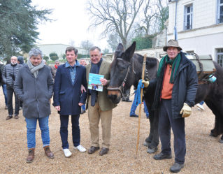 Lancement du livre 